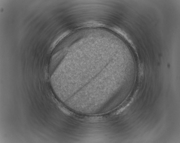 X0000078230889200612011537