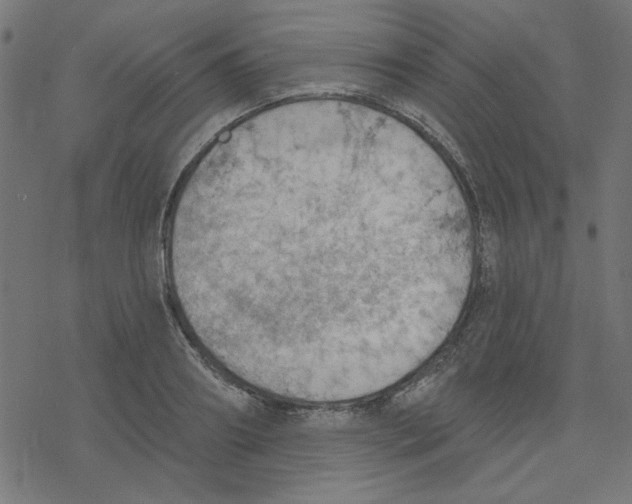 X0000078230890200612011537