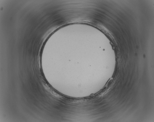 X0000078230892200612011537