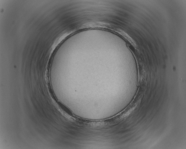 X0000078230893200612011537