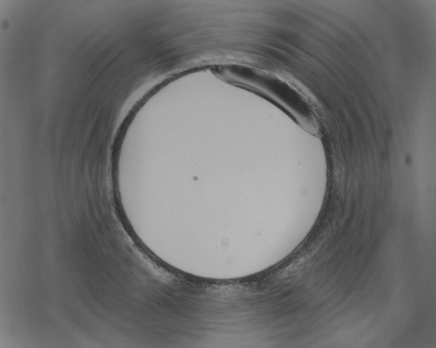 X0000078230894200612011537