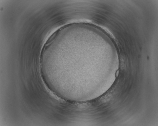 X0000078230895200612011537