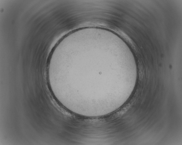 X0000078230896200612011537