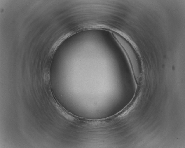 X0000078230897200612011537