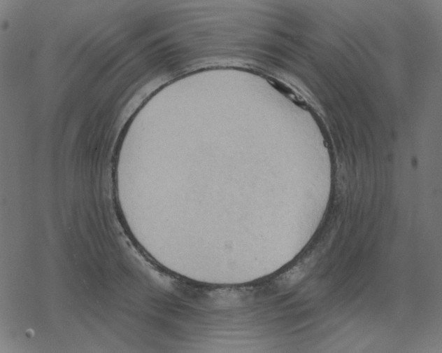 X0000078230898200612011537