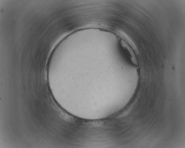 X0000078230900200612011537