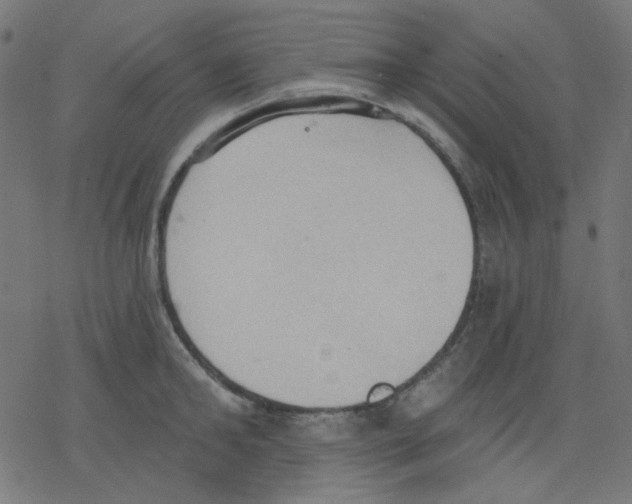 X0000078230902200612011537