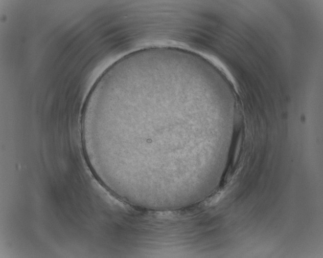 X0000078230903200612011537