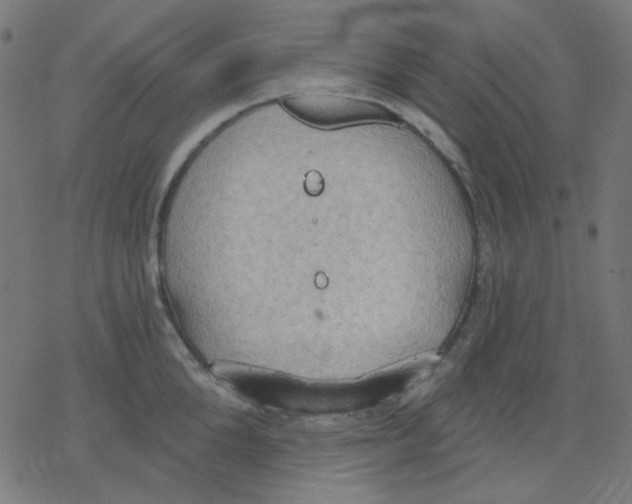 X0000078230904200612011537