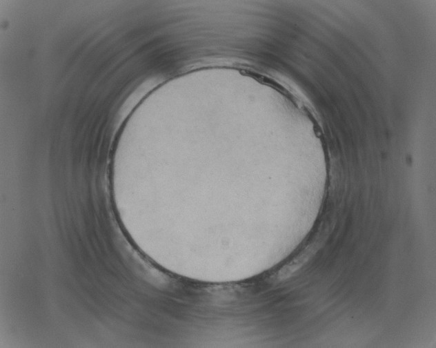 X0000078230906200612011537