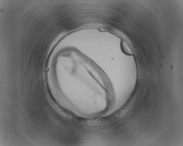 X0000078230907200612011537