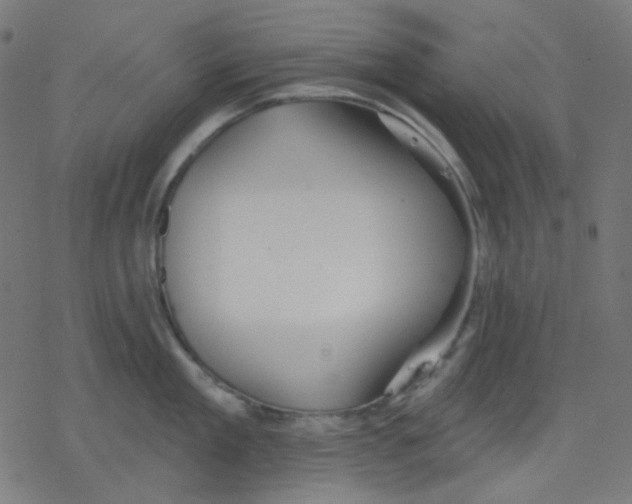 X0000078230909200612011537