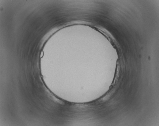 X0000078230910200612011536