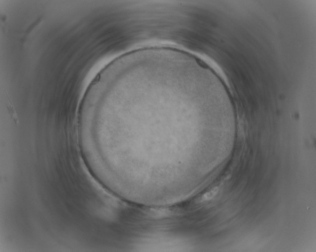 X0000078230911200612011536