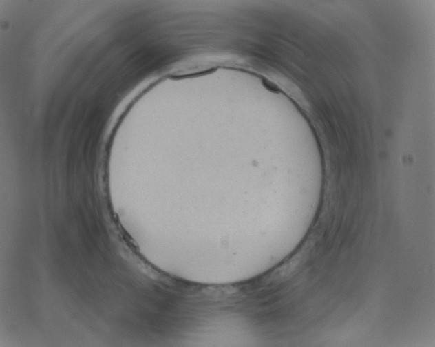 X0000078230912200612011536