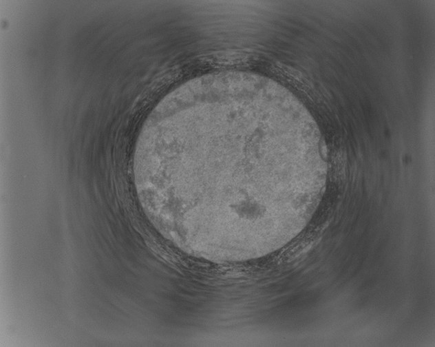 X0000078230913200612011536