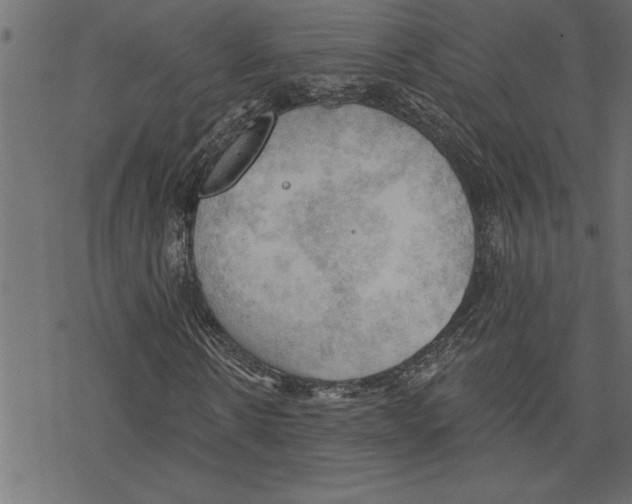 X0000078230914200612011536