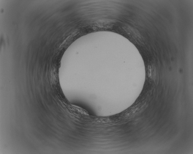 X0000078230915200612011536