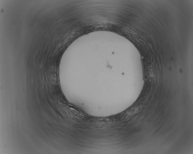 X0000078230916200612011536