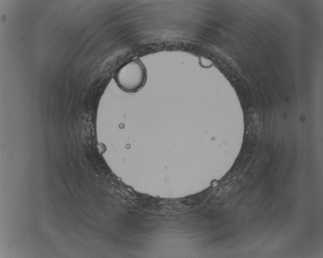 X0000078230918200612011536