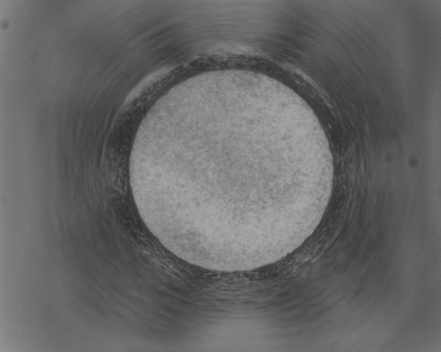 X0000078230919200612011536