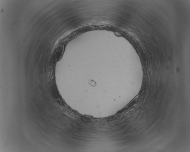 X0000078230920200612011536