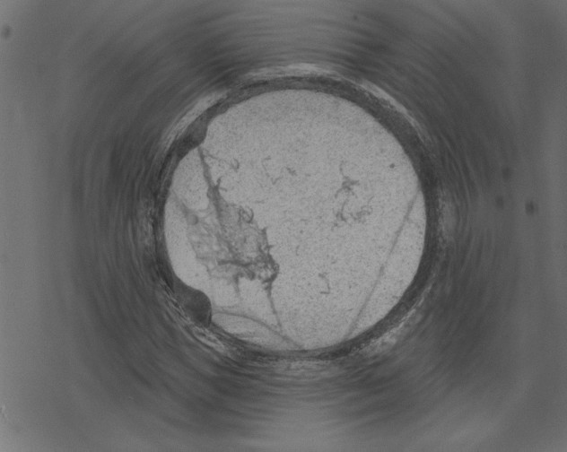 X0000078230921200612011536