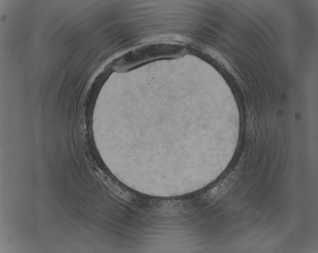 X0000078230923200612011536