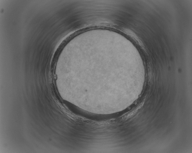 X0000078230924200612011536