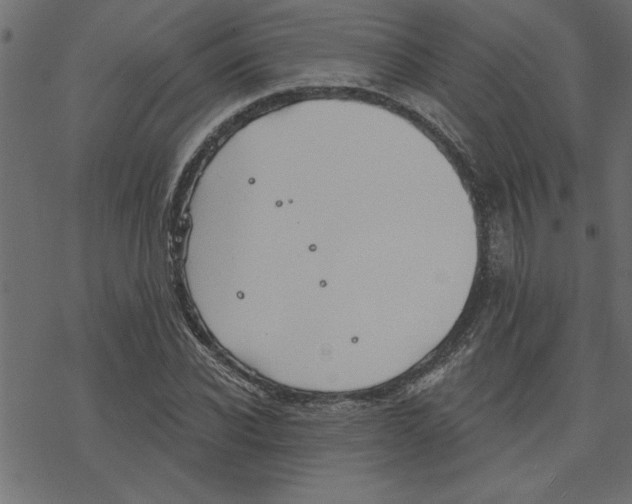 X0000078230926200612011536