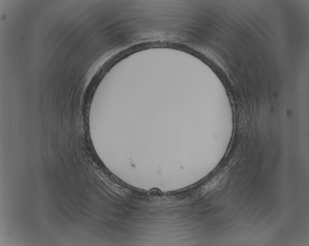 X0000078230927200612011536