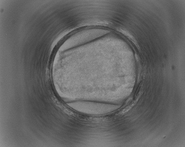 X0000078230928200612011536