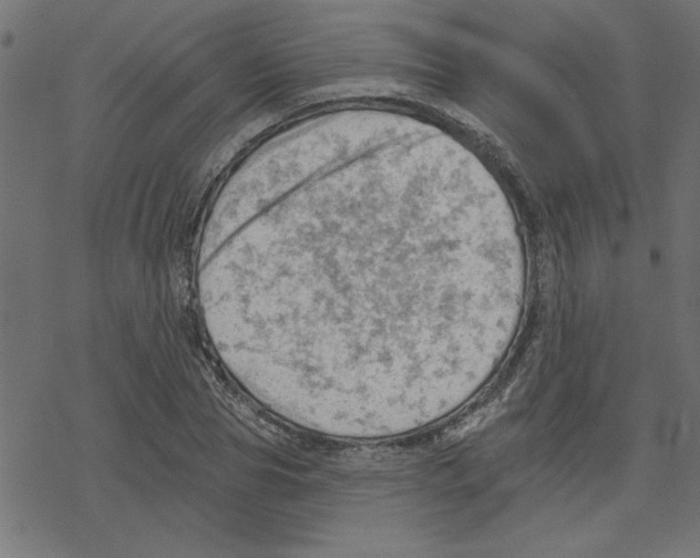 X0000078230929200612011536