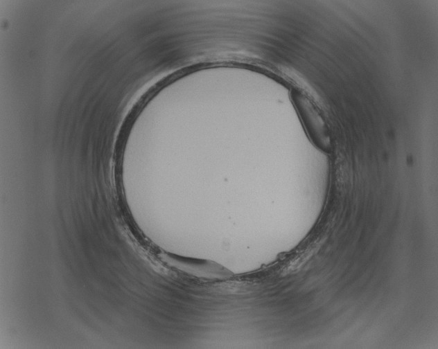 X0000078230932200612011536