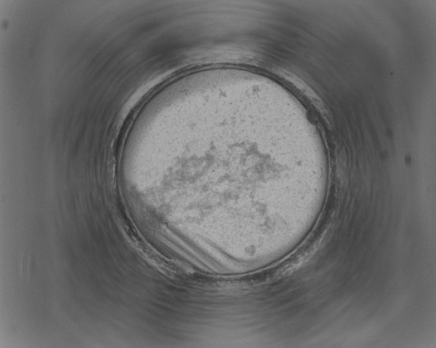 X0000078230933200612011536