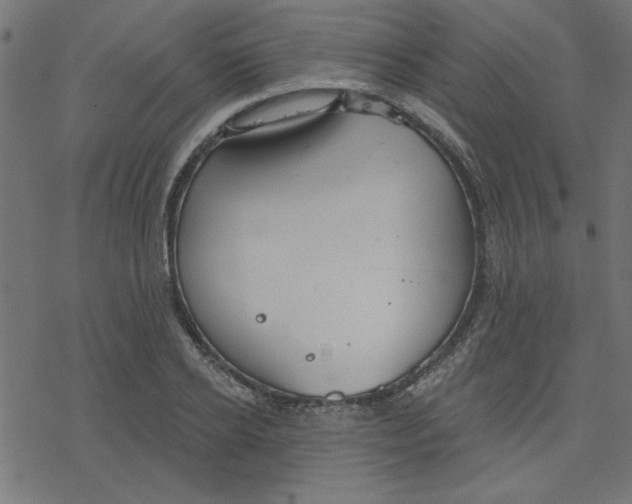 X0000078230934200612011536