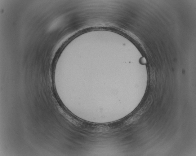 X0000078230935200612011536