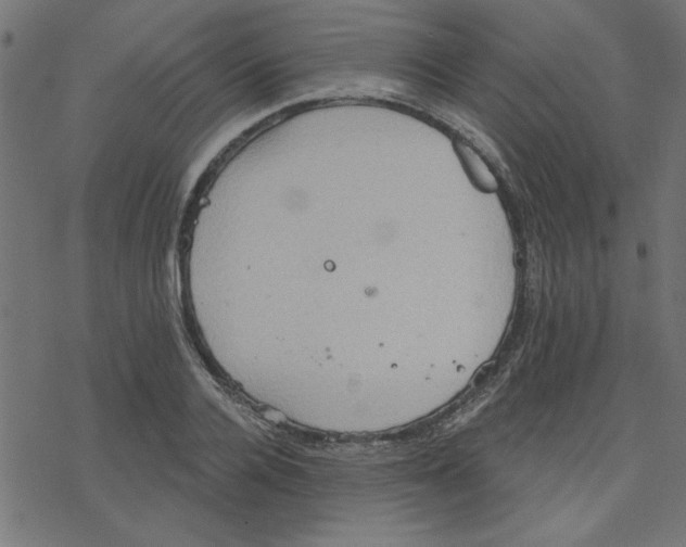 X0000078230936200612011536