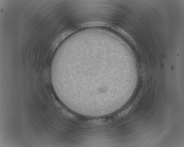 X0000078230937200612011536