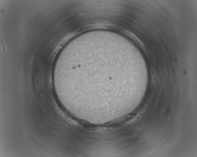 X0000078230938200612011536