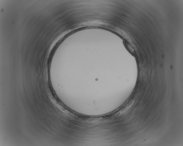 X0000078230939200612011536