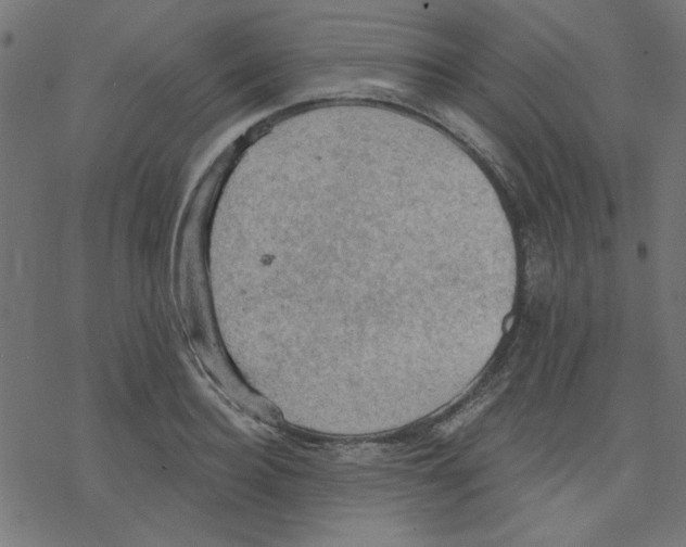 X0000078230940200612011536