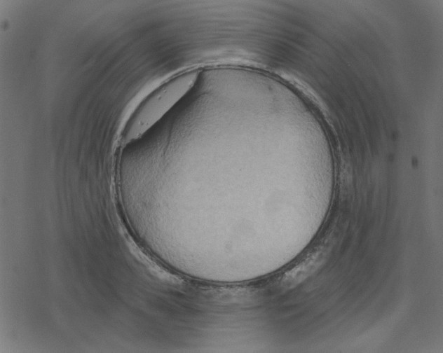 X0000078230941200612011536