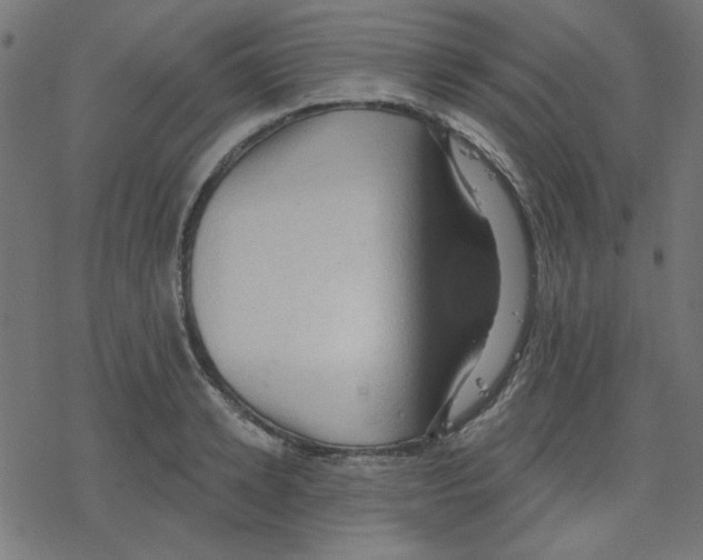 X0000078230942200612011536