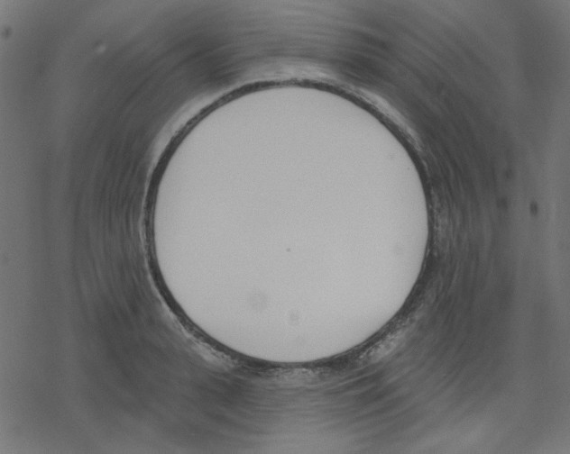 X0000078230943200612011536