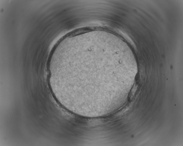 X0000078230944200612011536