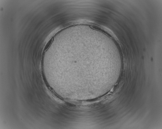 X0000078230946200612011536