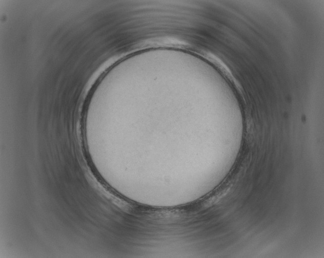 X0000078230947200612011536