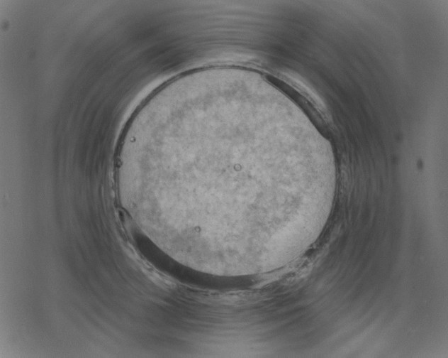 X0000078230948200612011536