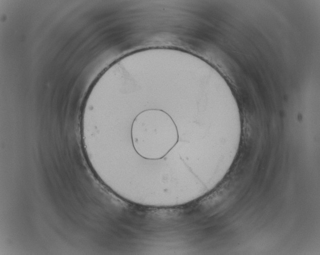 X0000078230950200612011536